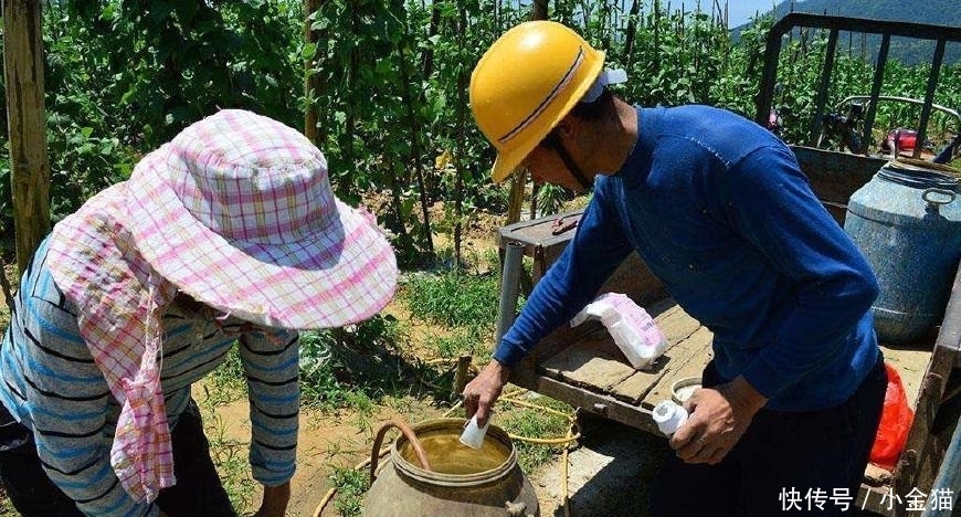  发现■农民注意: 过去农村这种常见“物品”已经禁用, 被发现了