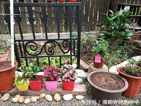  「李小姐还」她将荒芜的后院，改造成最美花园，完工一年后，让人惊艳