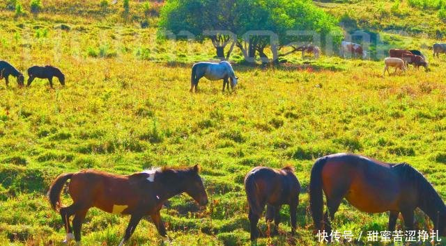 这个地方风景如画,随手一拍就是大片