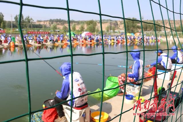 大荔朝邑举办香港斗渔杯钓鱼大赛 200多名钓