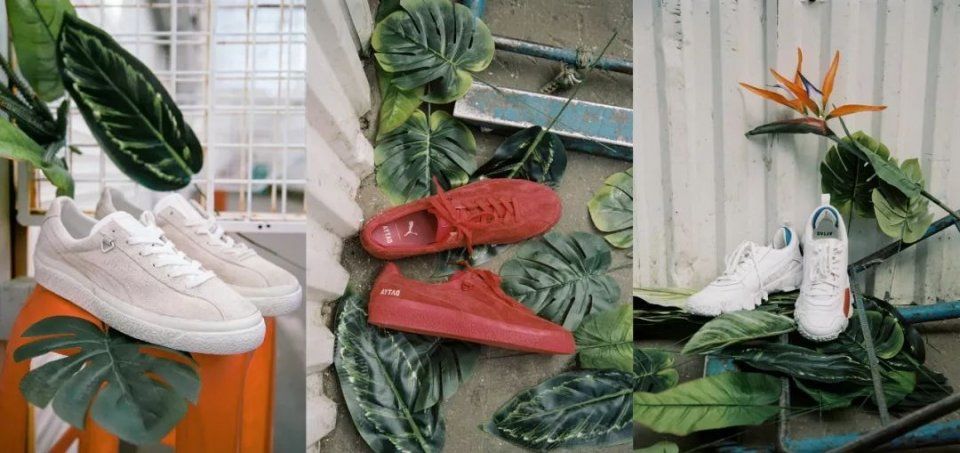 每周芭报 | 赵薇减肥只靠6个字，Kylie登上了《福布斯》!