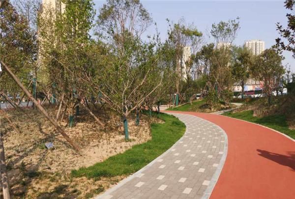  『城市道路』郑在变 旧貌换新颜！郑州多条道路进行升级改造为城市增光添彩