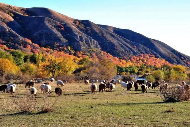 还未商业化的“稻城亚丁”比稻城原始，比九寨更美！