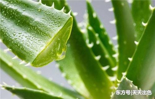 皮肤干燥起皮、毛孔粗大，出油长痘？做好这一步，肌肤水嫩又白皙