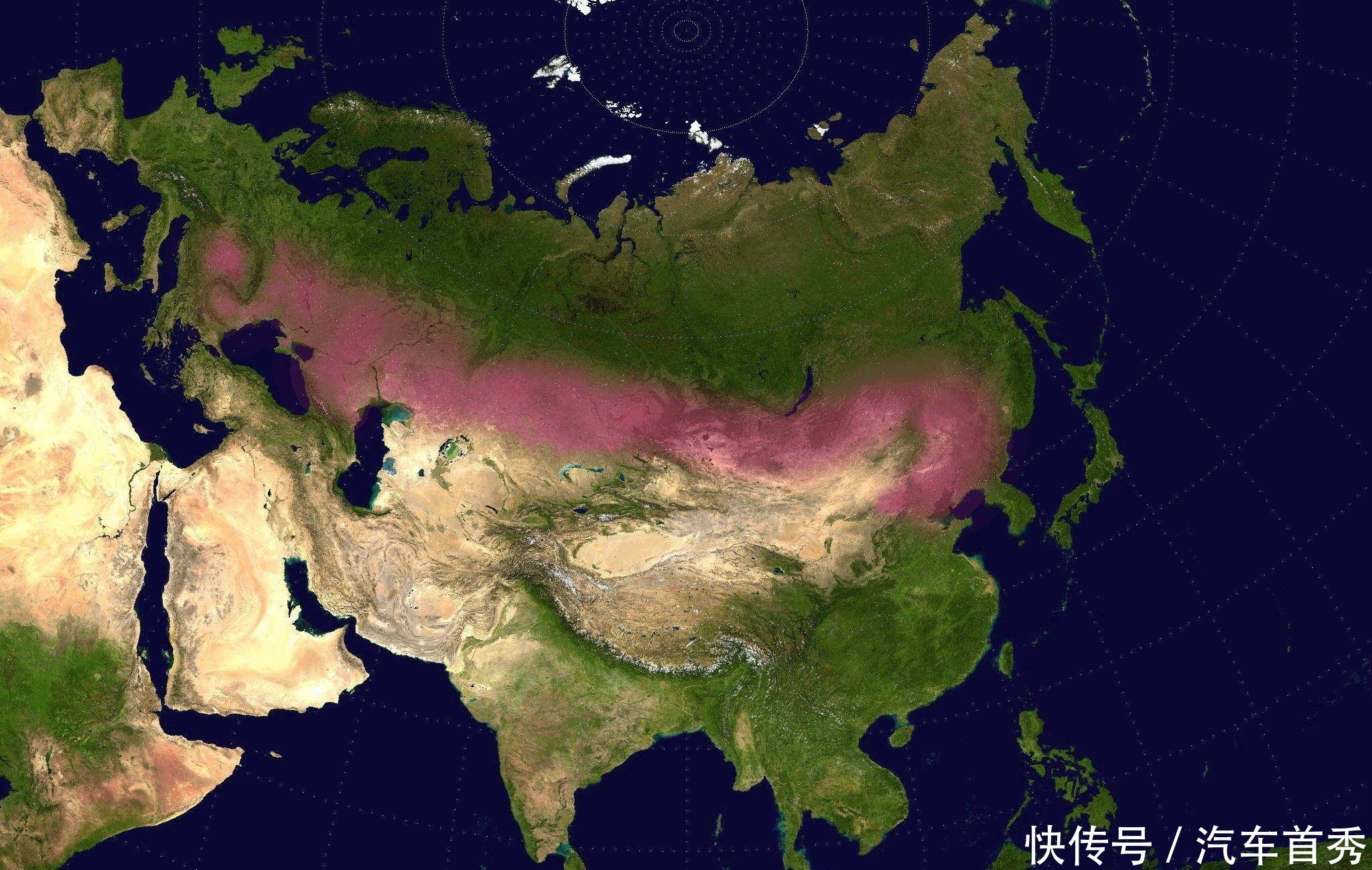 世界上最大的草原你知道是哪个吗?