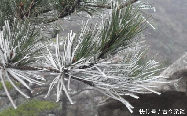 国内最懒的“宰客”的景区,门票65元玩好几天,吃住只需80元