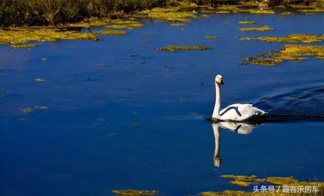 去新疆or去西藏?心累了，去西藏~眼累了，去新疆!