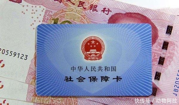 社保交了14年，参保人突然去世，所交的钱可以返还吗为什么
