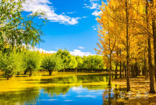 西藏小众旅行地,秋天美到翻