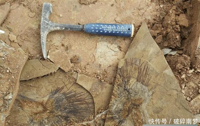  「我国」假如青藏高原不隆起，我国南方是什么环境？