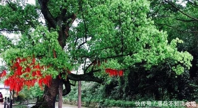 南京周边私藏的8个绝美乡村，个个都是神级的隐居地