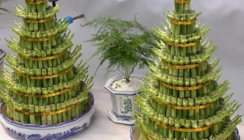  富贵竹的叶@富贵竹好看，家中三个摆放禁区需要你知道，还不来了解！