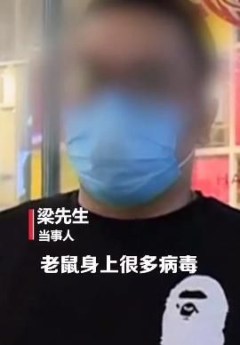 「厨房」火锅店惊现多只老鼠！骚扰顾客游荡厨房，网友：狸猫换太子，牛肉变鼠肉