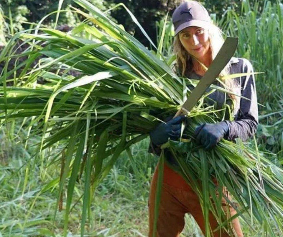 细看澳洲“野人美女”，在山泉中洗澡，腋毛虽长却依然完美
