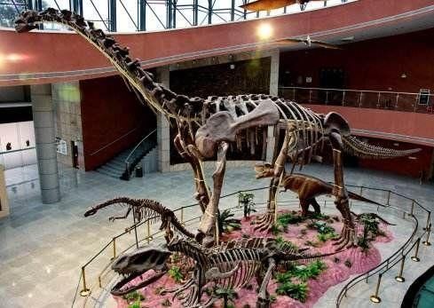 河源小学生发现万年恐龙蛋化石！为什么河源频频挖出恐龙蛋化石？