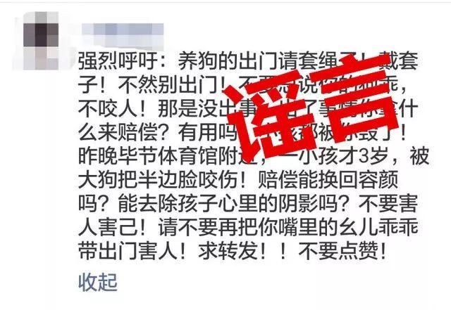 3岁小孩被狗咬伤半边脸？小孩左腿被狗咬掉？造谣者咋还有脸义正