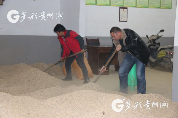 沿河洪渡镇皂角村:一个深度贫困村的变迁