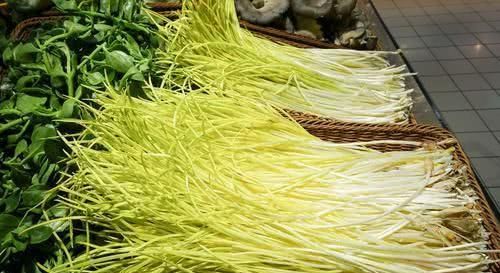  蒜黄@农民种植蒜黄，掌握适宜的生长条件，蒜黄才能长得好