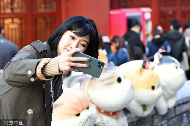 喵！喵！喵！故宫神武门现巨型御猫 成为新的旅游打卡圣地