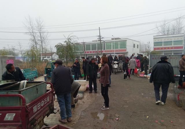 以后大概率要回农村的6种人，快来看看有没有你