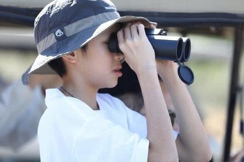 张智霖袁咏仪一家三口非洲旅行 儿子颜值逆天