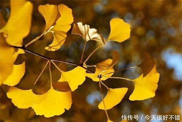  「宿敌」呵护敏感肌肤，五步护肤法，与换季宿敌对对碰
