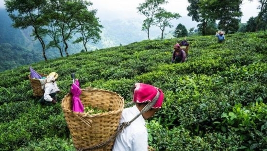 日本女人爱来中国旅游，表面是在旅游，其实为了带走“两样东西”