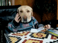 真相！为你揭穿26个生活谣言