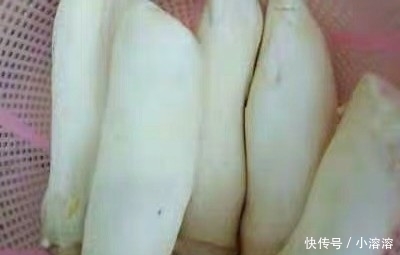 #餐桌上#买杏鲍菇时,选大的还是小的好?蔬菜贩子说漏了嘴,以后别瞎买