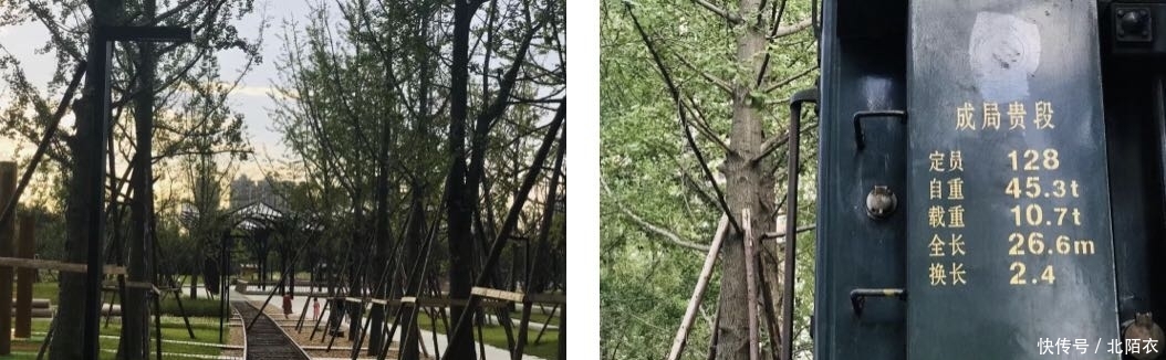 乱逛 | 沙河源公园,北门的又一个新新公园