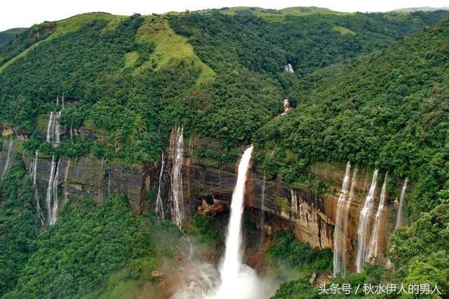 世界最“古怪”的桥梁：印度人用树种出来，500年越走越牢固！