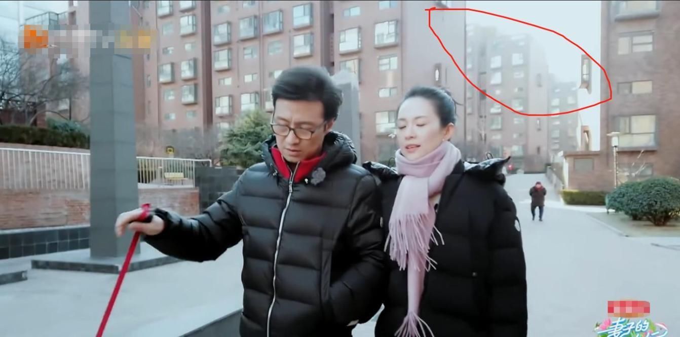  『旅行』《妻子旅行2》四位女星豪宅比拼：章子怡家接地气，她家让人意外