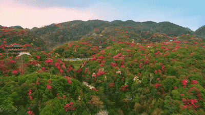 3月最值得去的国内旅行地,有2个很多人没听说过,却有绝美花海!