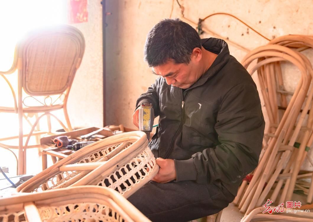  藤编：江苏海安：生态藤编助农增收