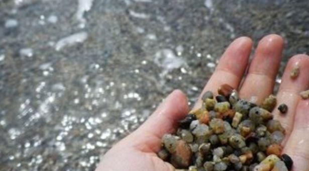  花生壳■养花盆土常常板结，埋下“4个小玩意”，变得松软，养花更旺了