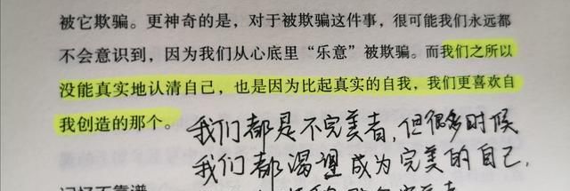  【Z先生】南乔成长日记：读书、写作、爱人皆不负