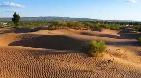  【蔬菜】世界上最“悲催”沙漠，被中国人当菜园，每年收10000多