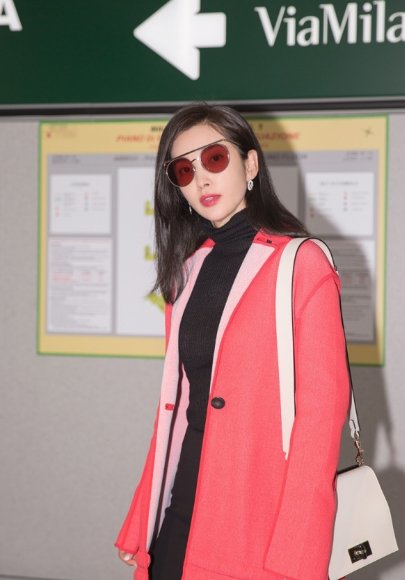 李冰冰米兰看秀造型曝光 透视上衣搭短裙优雅性感