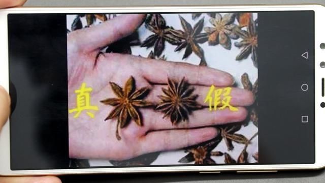 【认准】八角也有真假之分，只要认准“三点”，不会被坑，看完长知识