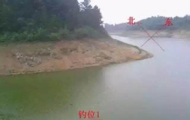  「技巧」野钓选钓位的打窝技巧