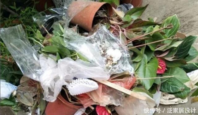 堆花|花市垃圾桶内捡1堆花,回来处理一下,就能养成漂亮的盆栽
