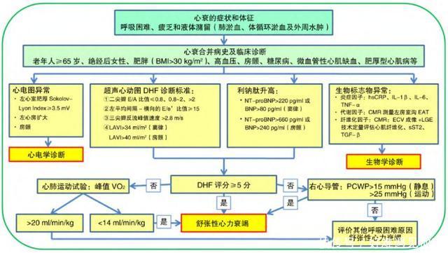指南丨舒张性心衰诊疗,我国最新专家共识