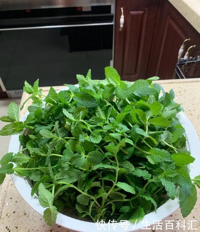  「天一」养花技巧：安全度夏水培花，天一热就养它，1杯水养爆盆