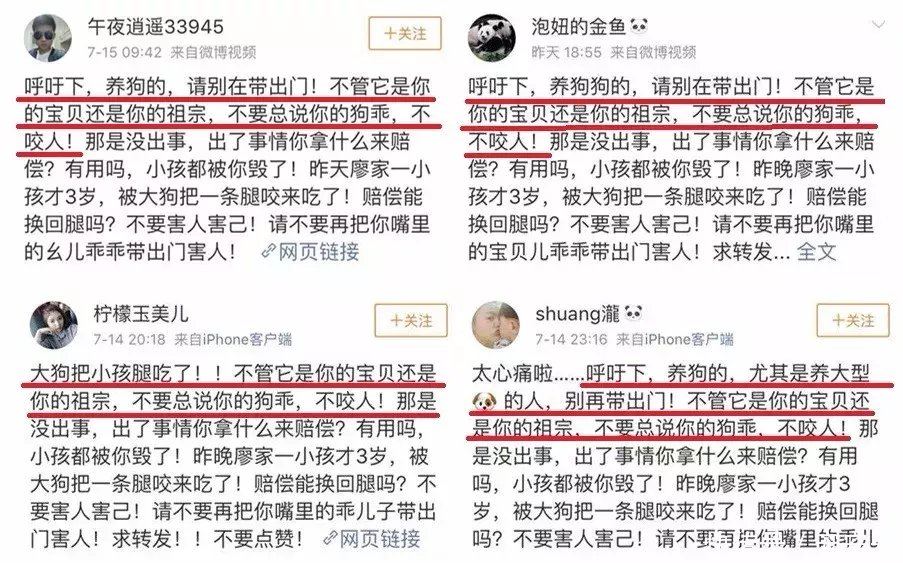 有组织造谣狗咬伤小孩儿，这个锅决不能背！