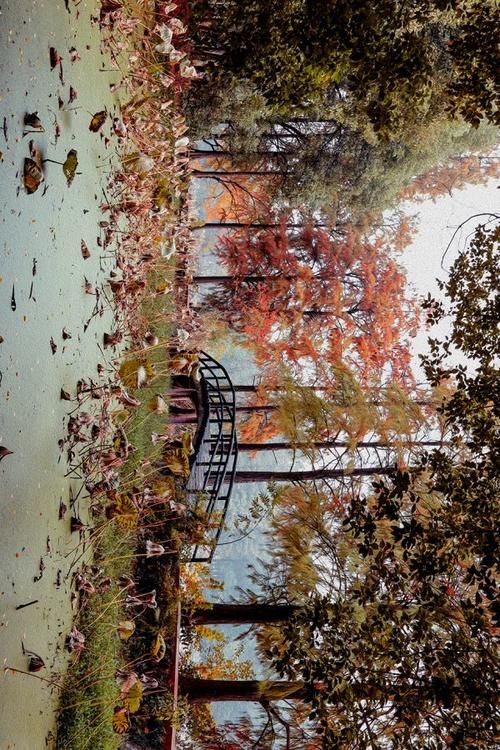 拍过很多地方,最后发现拍来拍去还是东湖最美