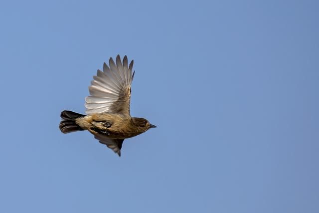 年轻人们都不愿意交社保！未来已经退休的人们还有养老金么？