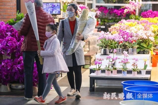  『春天』市民走出家门 去上海最大花市把春天带回家