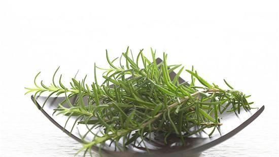  「香味」这些植物种出来可以当成香料，做菜的时候放上一把，色香俱全！