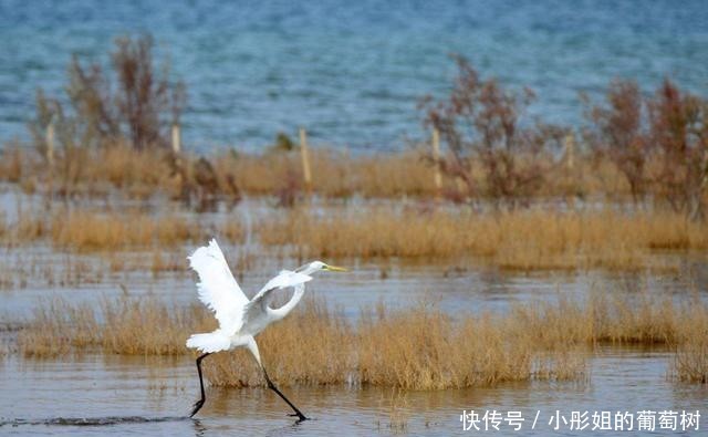 “绿化狂魔”中国到底多厉害？塔克拉玛干腹地或成“鱼米之乡”