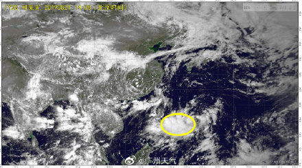 第11号台风“白鹿”生成